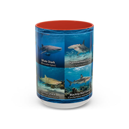 15 oz Shark Species Accent Coffee Mug — Ocean Sharks Identification