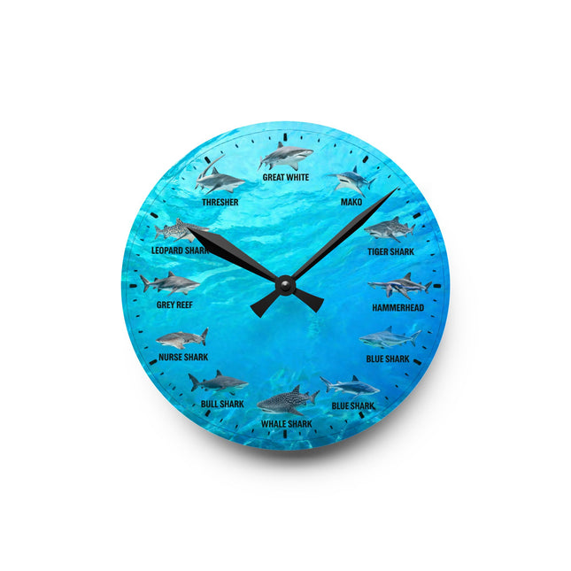 Shark Species Acrylic Wall Clock — Ocean Blue Educational Nautical Decor