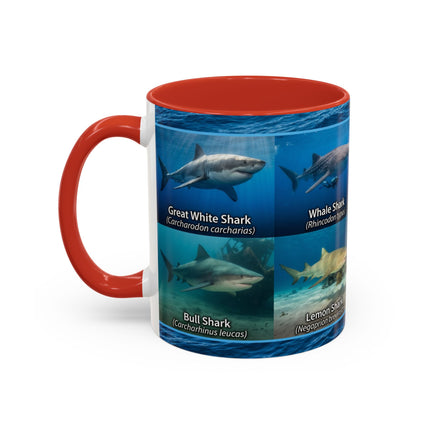11 oz Shark Species Accent Coffee Mug — Ocean Sharks Identification