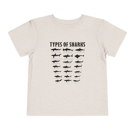 Toddler Tee — 'Types of Sharks' Graphic Shark Silhouette Shirt
