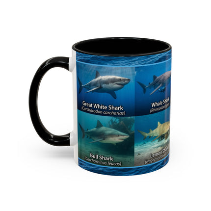 11 oz Shark Species Accent Coffee Mug — Ocean Sharks Identification
