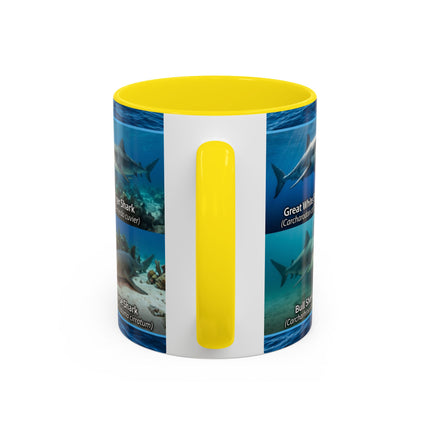 11 oz Shark Species Accent Coffee Mug — Ocean Sharks Identification