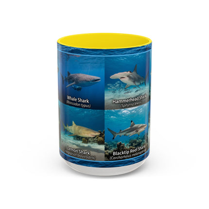 15 oz Shark Species Accent Coffee Mug — Ocean Sharks Identification