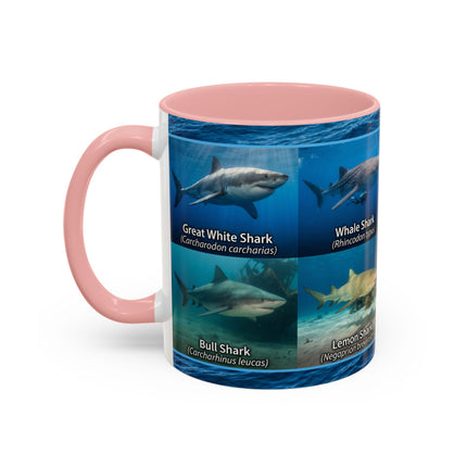 11 oz Shark Species Accent Coffee Mug — Ocean Sharks Identification