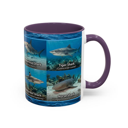 11 oz Shark Species Accent Coffee Mug — Ocean Sharks Identification