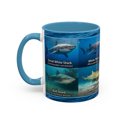 11 oz Shark Species Accent Coffee Mug — Ocean Sharks Identification