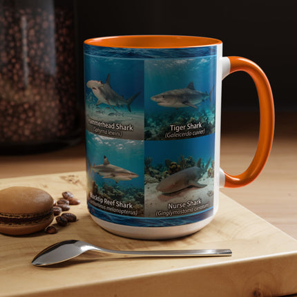 15 oz Shark Species Accent Coffee Mug — Ocean Sharks Identification