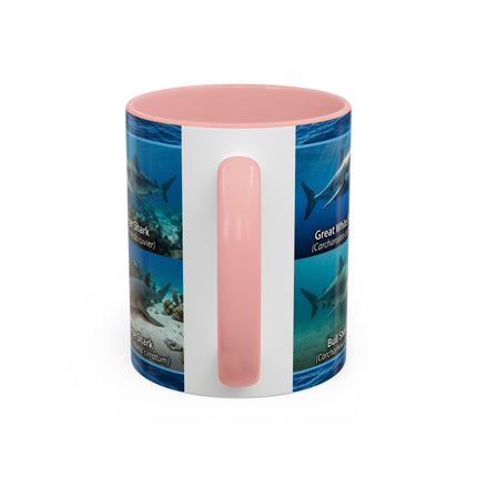 11 oz Shark Species Accent Coffee Mug — Ocean Sharks Identification