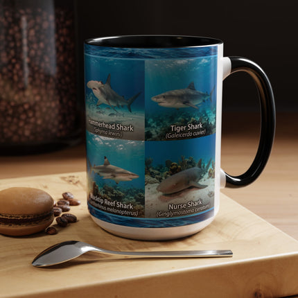 15 oz Shark Species Accent Coffee Mug — Ocean Sharks Identification