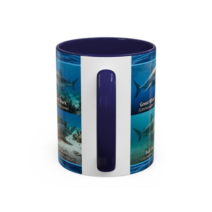 11 oz Shark Species Accent Coffee Mug — Ocean Sharks Identification