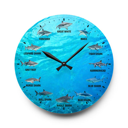 Shark Species Acrylic Wall Clock — Ocean Blue Educational Nautical Decor