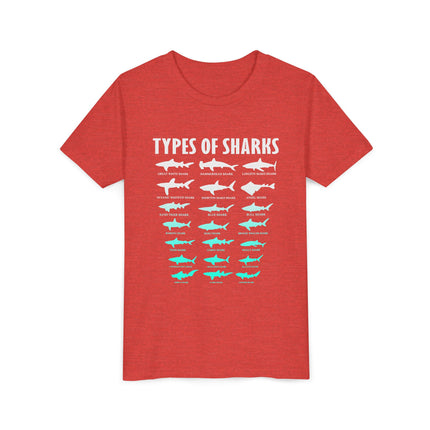 Youth Tee - Types of Sharks Graphic Shirt (Kids’ Marine Life Tee)