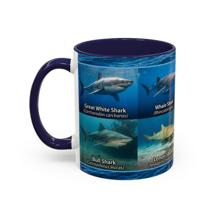 11 oz Shark Species Accent Coffee Mug — Ocean Sharks Identification