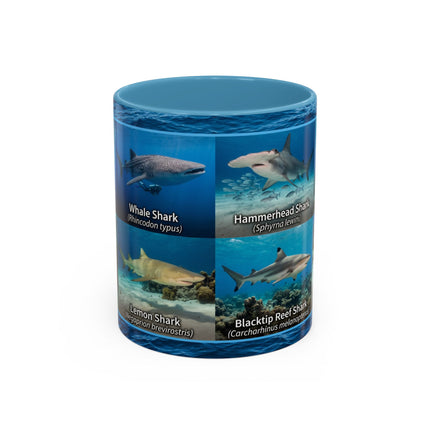 11 oz Shark Species Accent Coffee Mug — Ocean Sharks Identification