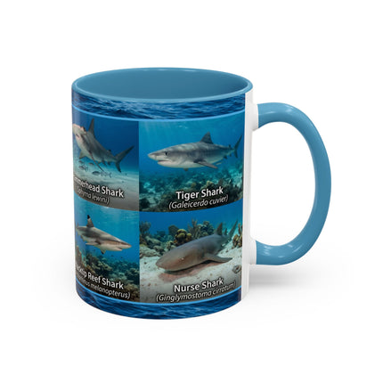 11 oz Shark Species Accent Coffee Mug — Ocean Sharks Identification