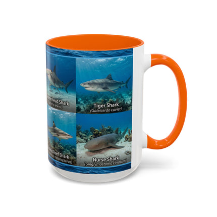 15 oz Shark Species Accent Coffee Mug — Ocean Sharks Identification