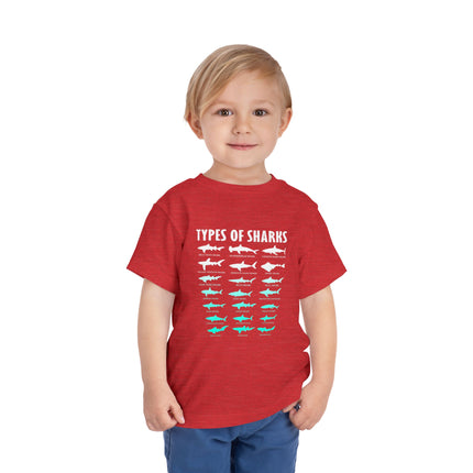 Toddler Tee — Blue Gradient Shark Row Graphic