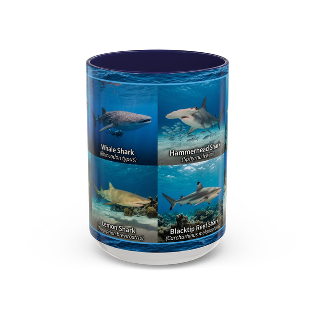 15 oz Shark Species Accent Coffee Mug — Ocean Sharks Identification