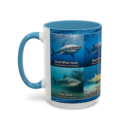 15 oz Shark Species Accent Coffee Mug — Ocean Sharks Identification