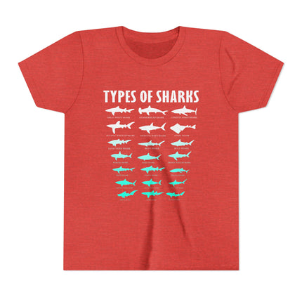 Youth Tee - Types of Sharks Graphic Shirt (Kids’ Marine Life Tee)