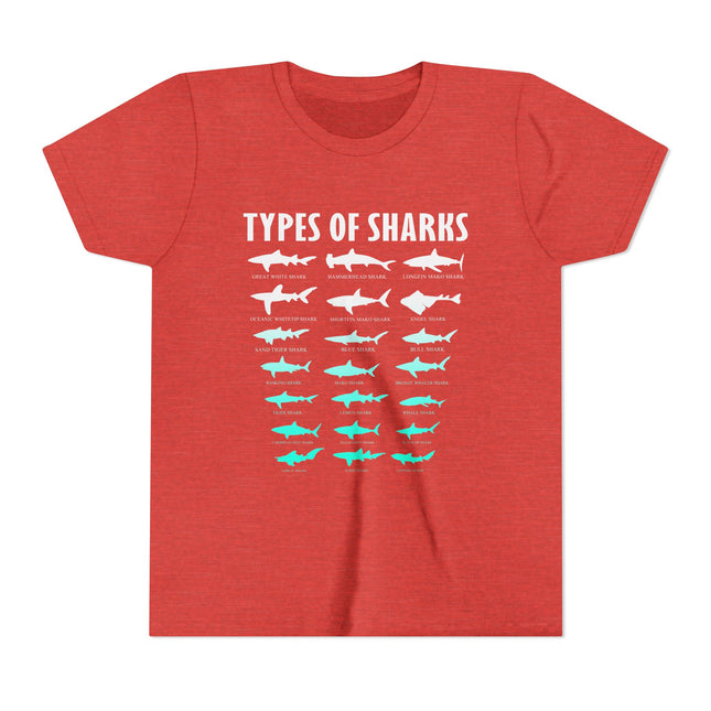 Youth Tee - Types of Sharks Graphic Shirt (Kids’ Marine Life Tee)