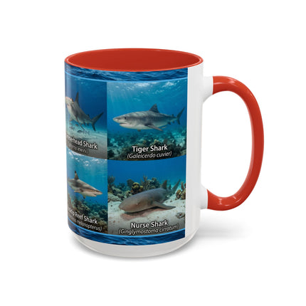 15 oz Shark Species Accent Coffee Mug — Ocean Sharks Identification