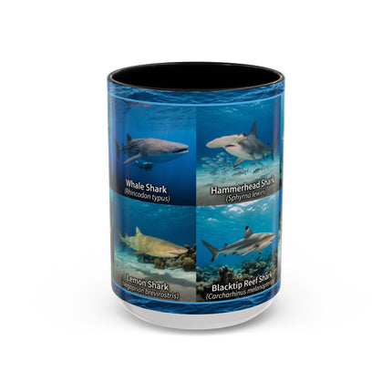 15 oz Shark Species Accent Coffee Mug — Ocean Sharks Identification