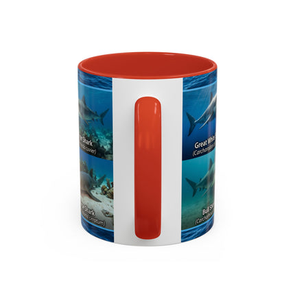 11 oz Shark Species Accent Coffee Mug — Ocean Sharks Identification