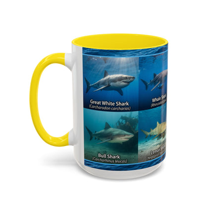 15 oz Shark Species Accent Coffee Mug — Ocean Sharks Identification
