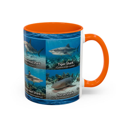 11 oz Shark Species Accent Coffee Mug — Ocean Sharks Identification