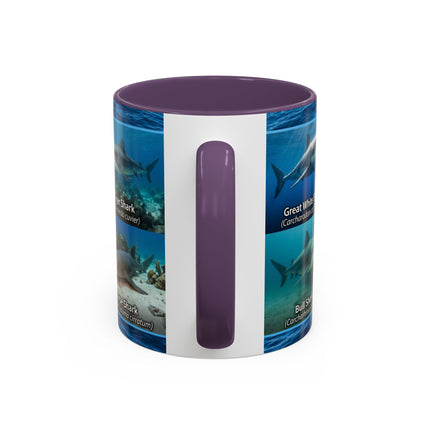 11 oz Shark Species Accent Coffee Mug — Ocean Sharks Identification