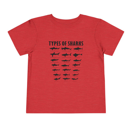 Toddler Tee — 'Types of Sharks' Graphic Shark Silhouette Shirt