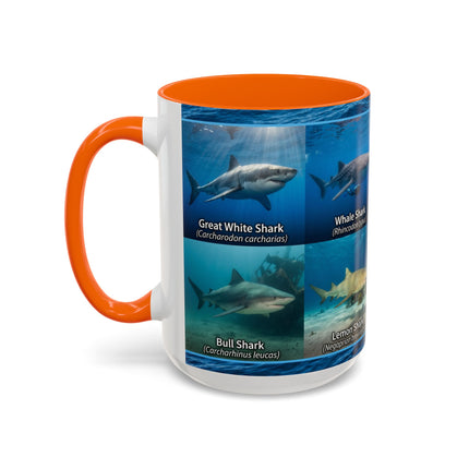 15 oz Shark Species Accent Coffee Mug — Ocean Sharks Identification