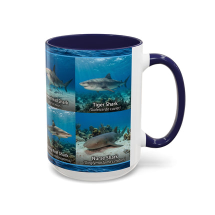 15 oz Shark Species Accent Coffee Mug — Ocean Sharks Identification