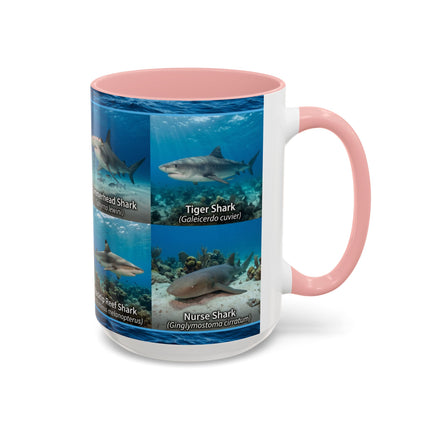 15 oz Shark Species Accent Coffee Mug — Ocean Sharks Identification