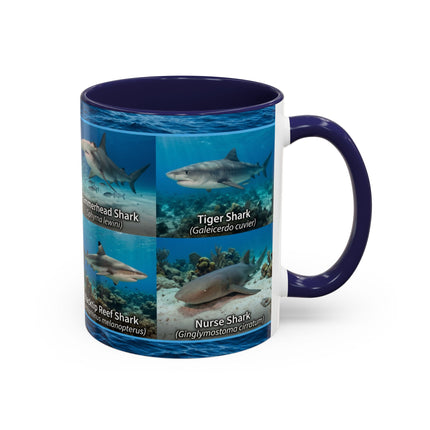 11 oz Shark Species Accent Coffee Mug — Ocean Sharks Identification