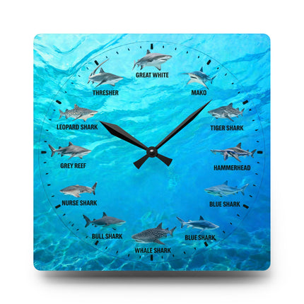 Shark Species Acrylic Wall Clock — Ocean Blue Educational Nautical Decor