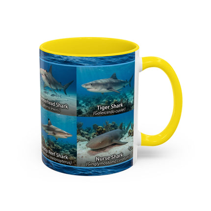 11 oz Shark Species Accent Coffee Mug — Ocean Sharks Identification
