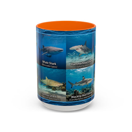 15 oz Shark Species Accent Coffee Mug — Ocean Sharks Identification