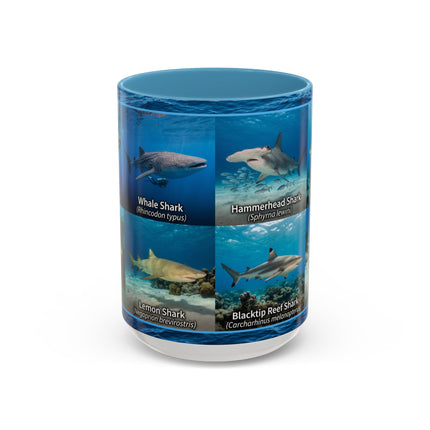 15 oz Shark Species Accent Coffee Mug — Ocean Sharks Identification