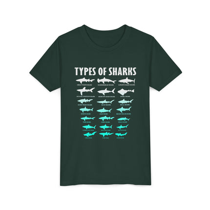 Youth Tee - Types of Sharks Graphic Shirt (Kids’ Marine Life Tee)