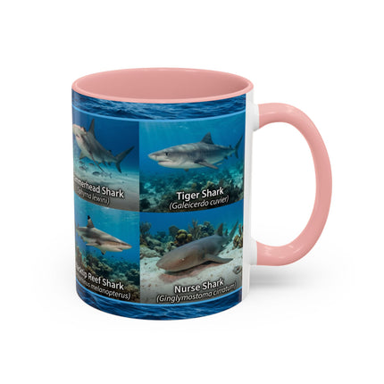 11 oz Shark Species Accent Coffee Mug — Ocean Sharks Identification