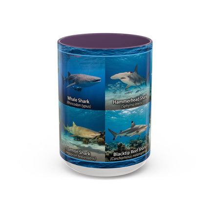 15 oz Shark Species Accent Coffee Mug — Ocean Sharks Identification
