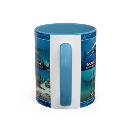 11 oz Shark Species Accent Coffee Mug — Ocean Sharks Identification
