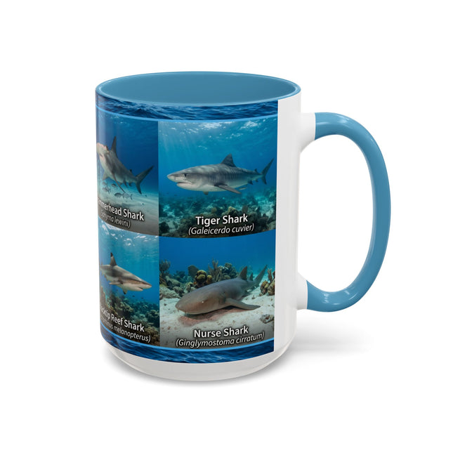 15 oz Shark Species Accent Coffee Mug — Ocean Sharks Identification