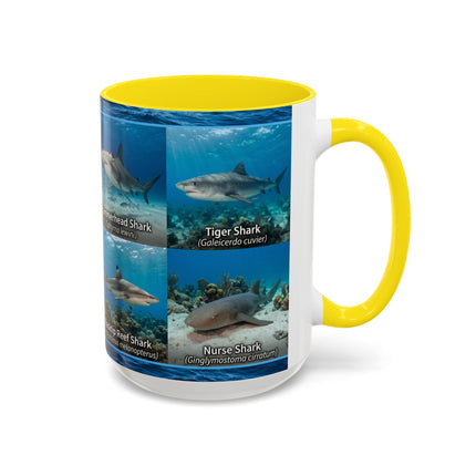 15 oz Shark Species Accent Coffee Mug — Ocean Sharks Identification