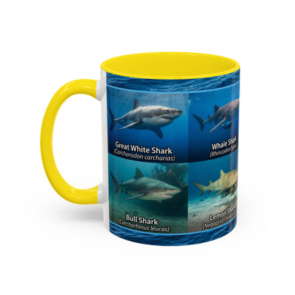 11 oz Shark Species Accent Coffee Mug — Ocean Sharks Identification