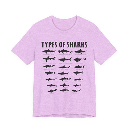 Types of Sharks T-Shirt – Graphic Shark Species Chart Tee