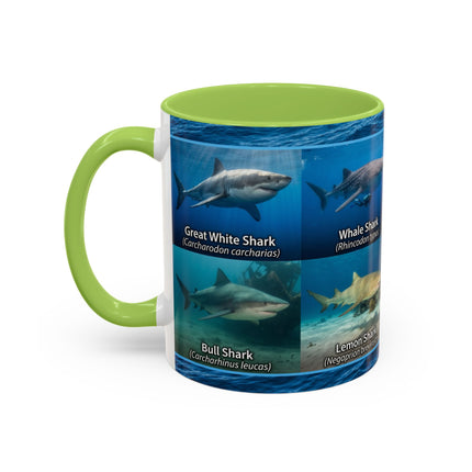 11 oz Shark Species Accent Coffee Mug — Ocean Sharks Identification