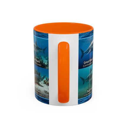 11 oz Shark Species Accent Coffee Mug — Ocean Sharks Identification